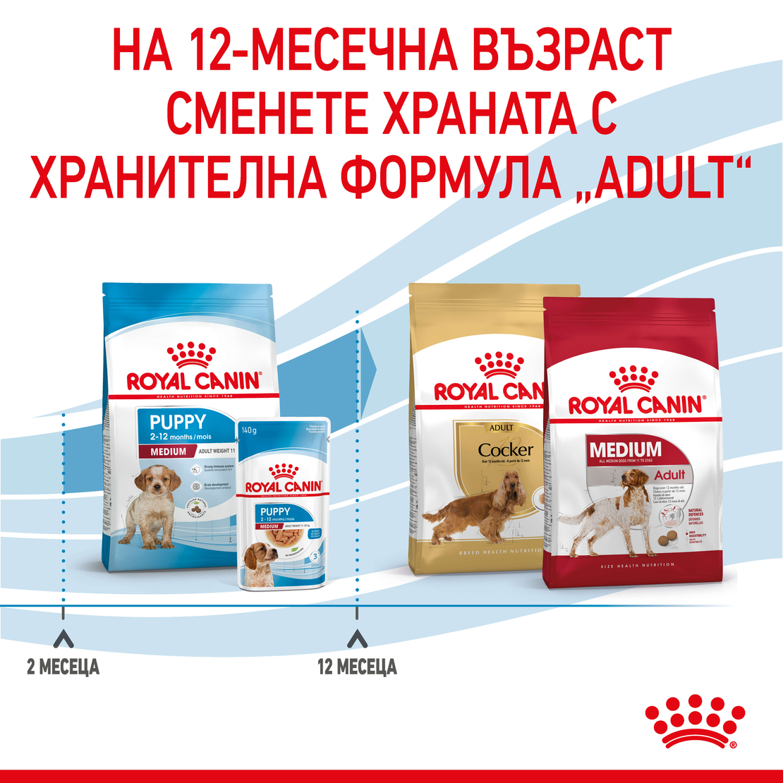 ROYAL CANIN® SHN MEDIUM PUPPY  за подрастващи кучета от средни породи (тегло в зряла възраст от 11 до 25 кг) - до 12 месеца