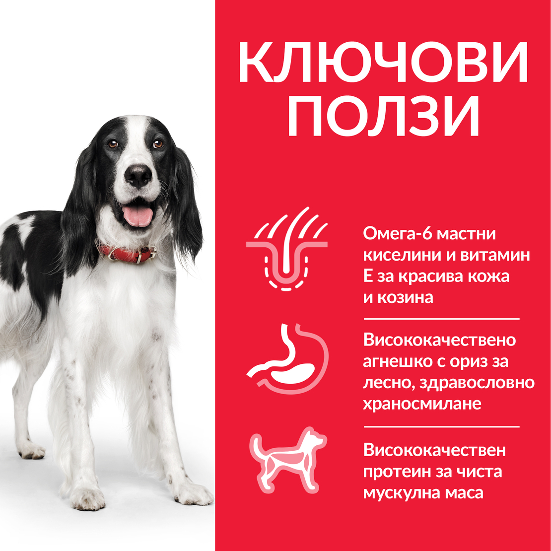 Hill’s Science Plan Canine Medium Adult с агнешко и ориз - Пълноценна суха храна за кучета от средни породи с умерени енергийни нужди, 1-7 г.