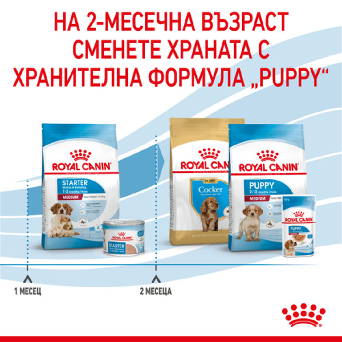 ROYAL CANIN® SHN MEDIUM STARTER за женски кучета от средни породи (от 11 до 25 кг) и нейните кученца: в края на бременността и по време на кърмене - период на отбиване на подрастващи кученца на възраст до 2 месеца