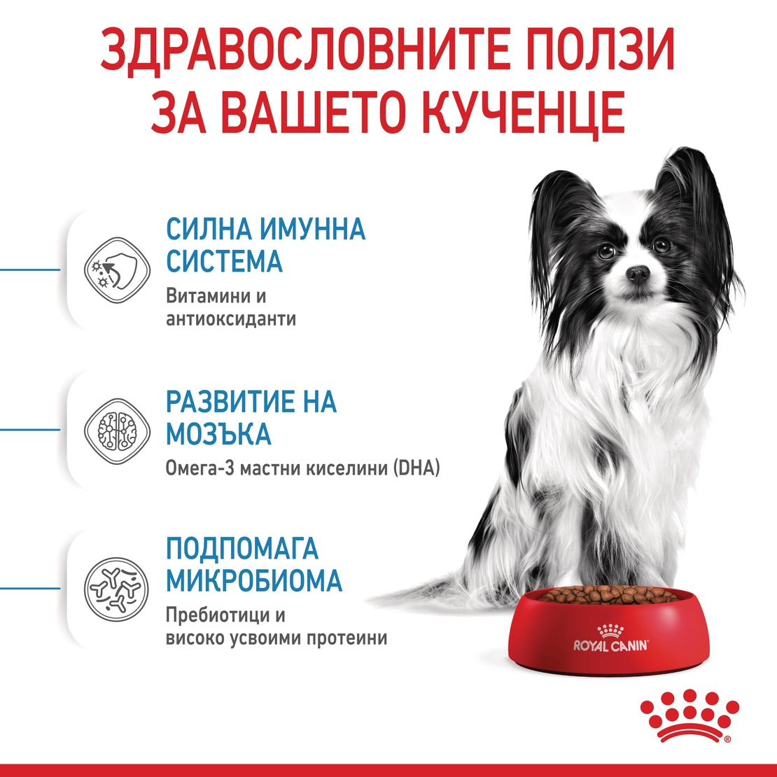 ROYAL CANIN® SHN X-SMALL PUPPY за подрастващи кучета от миниатюрни породи (тегло в зряла възраст до 4 кг) - до 10 месеца