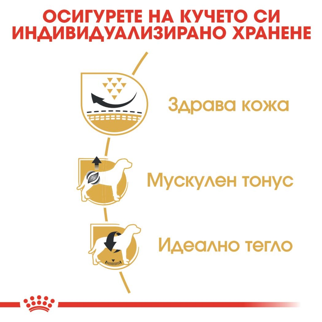 ROYAL CANIN® BHN PUG ADULT - за кучета в зряла и напреднала възраст порода мопс - над 10 месеца, 1.5 кг