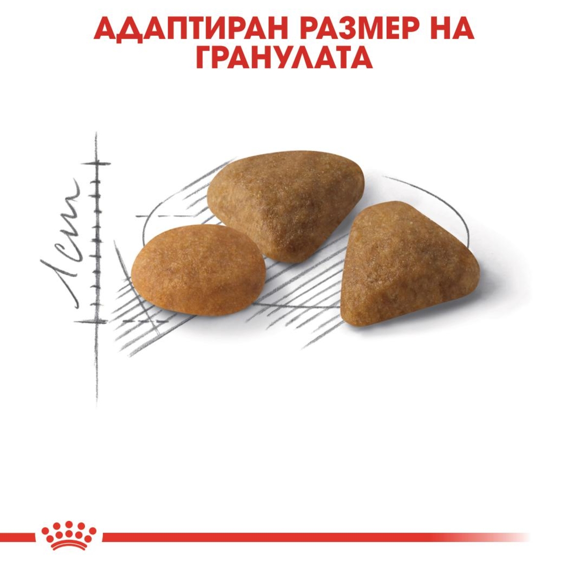 ROYAL CANIN® FHN EXIGENT SAVOUR за много капризни котки в зряла възраст над 1 година
