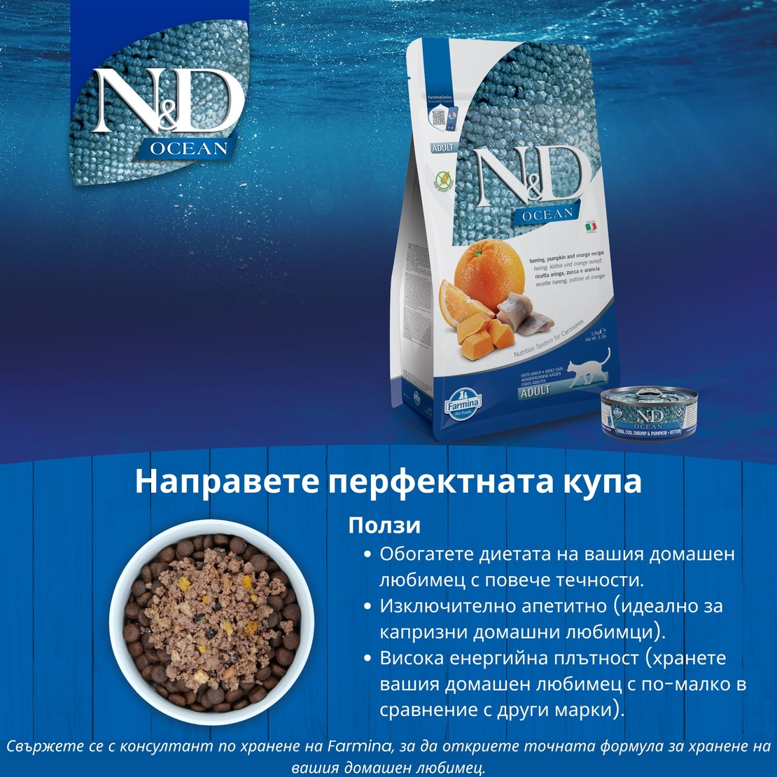 N&D Ocean Herring, Pumpkin & Orange Adult Cat – суха храна без зърнени култури за котки, с херинга, тиква и портокал