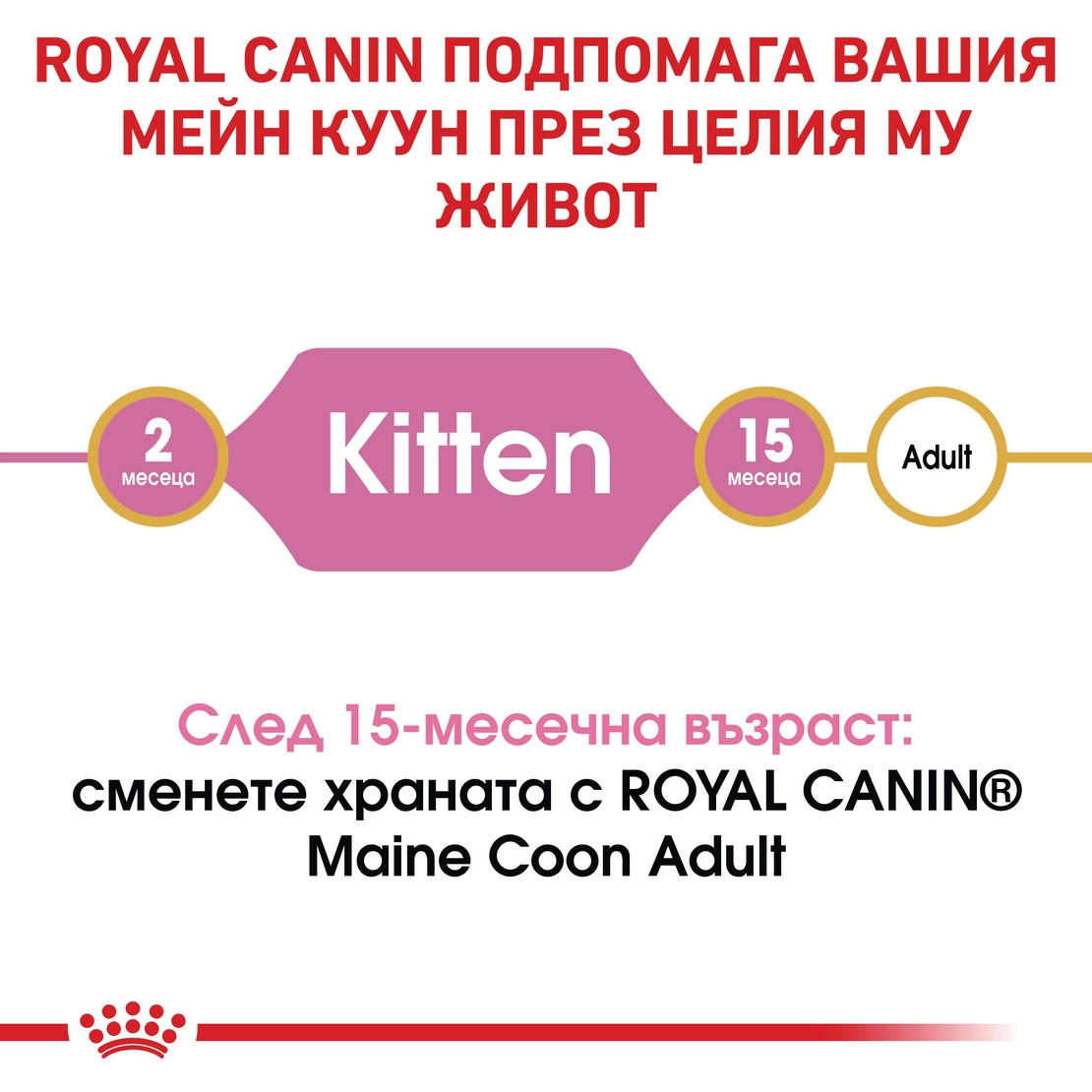 ROYAL CANIN® FBN MAINE COON KITTEN за подрастващи котенца от порода мейн куун (до 15 месеца)