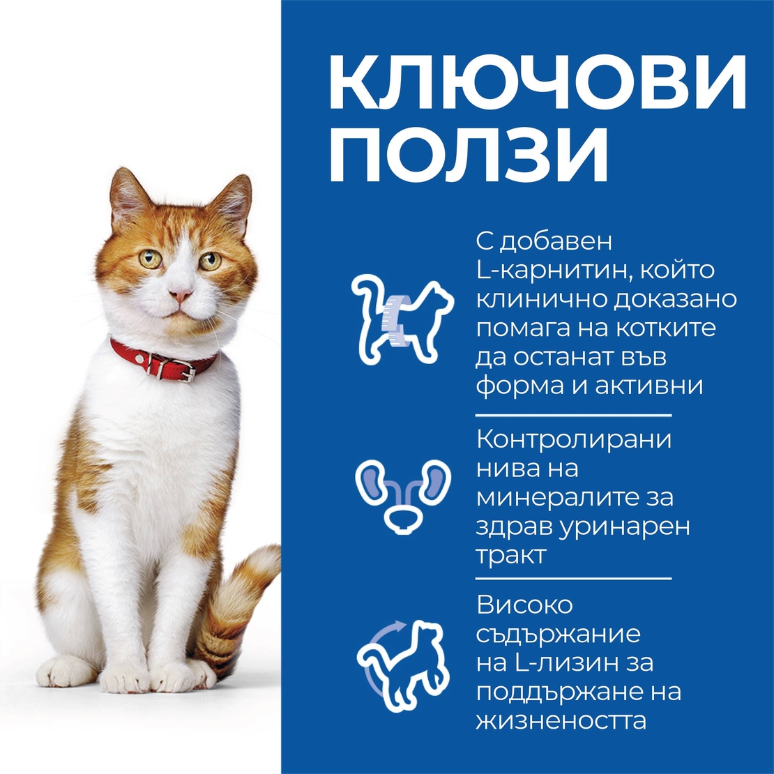 Hill's Science Plan Feline  Adult Sterilised Salmon  - Пълноценна суха храна за израснали кастрирани котки от 1 до 6 години, със сьомга