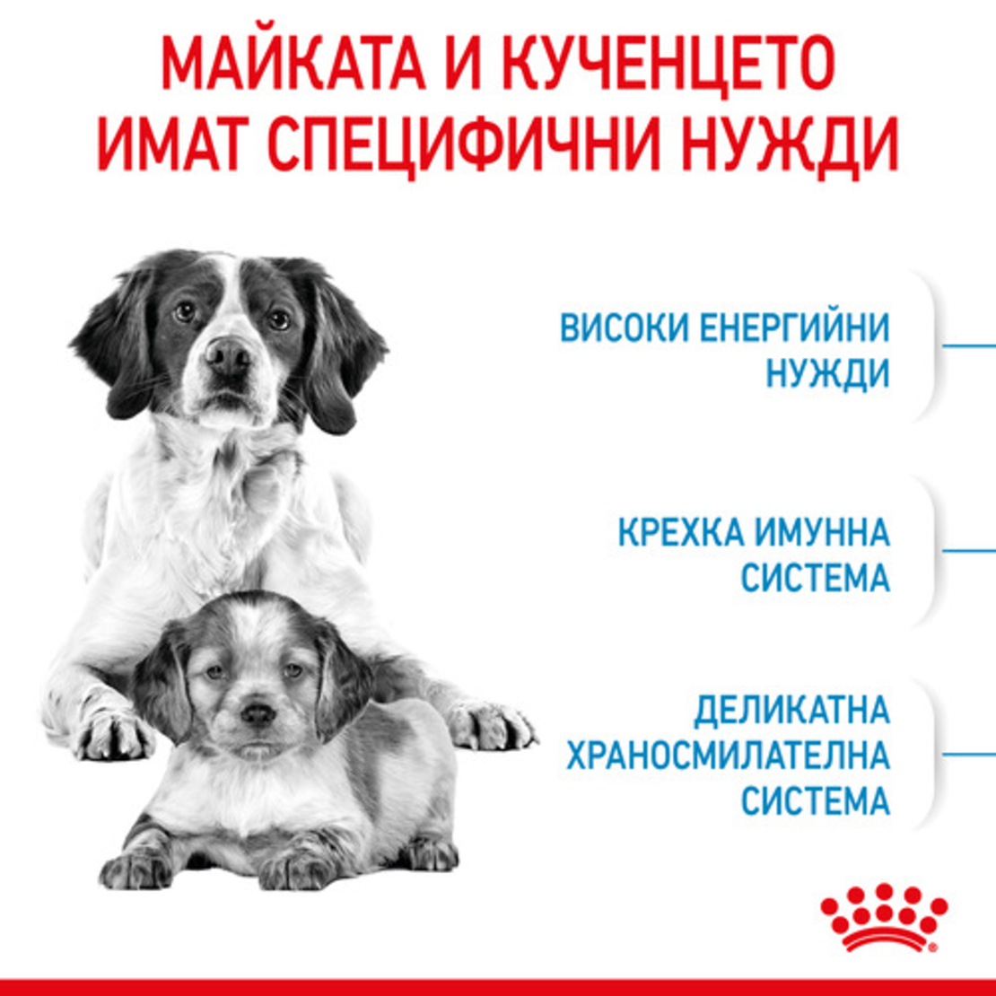 ROYAL CANIN® SHN MEDIUM STARTER за женски кучета от средни породи (от 11 до 25 кг) и нейните кученца: в края на бременността и по време на кърмене - период на отбиване на подрастващи кученца на възраст до 2 месеца