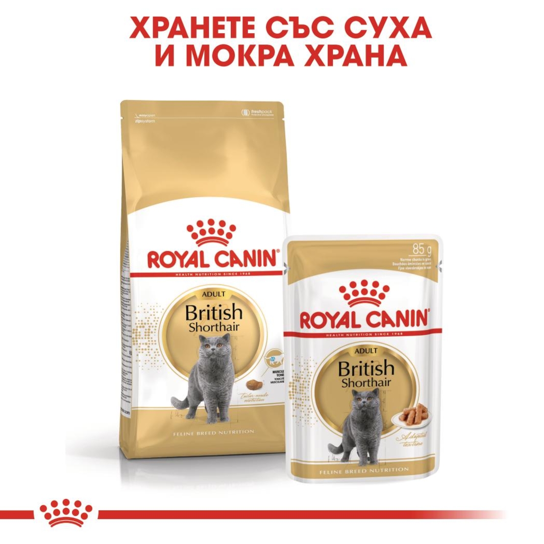 ROYAL CANIN® FBN BRITISH SHORTHAIR за британски късокосмести котки в зряла възраст - над 12 месеца (хапки в сос)хапки в сос