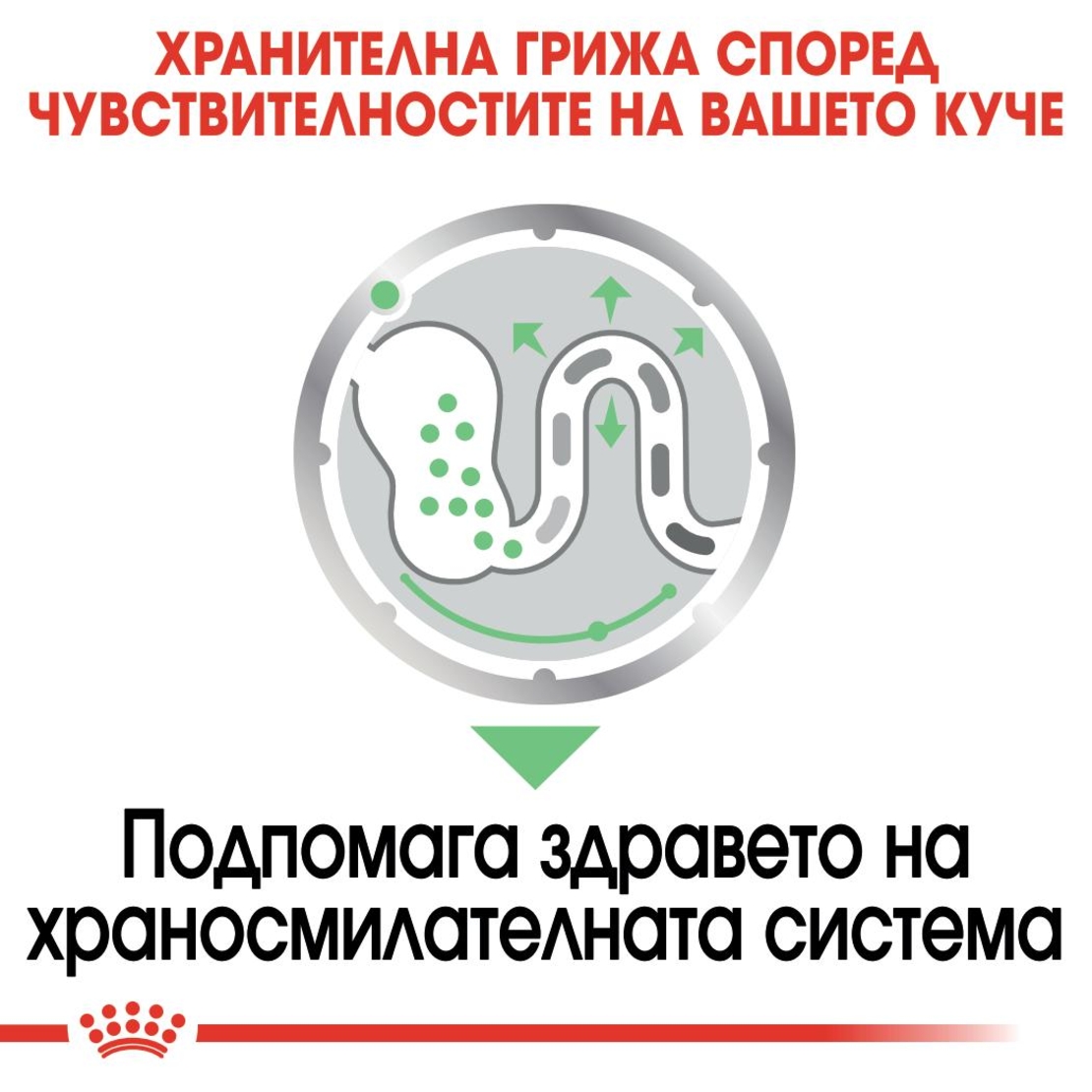 ROYAL CANIN® CCN DIGESTIVE CARE за кучета в зряла възраст над 10 месеца с чувствителна храносмилателна система (пастет)