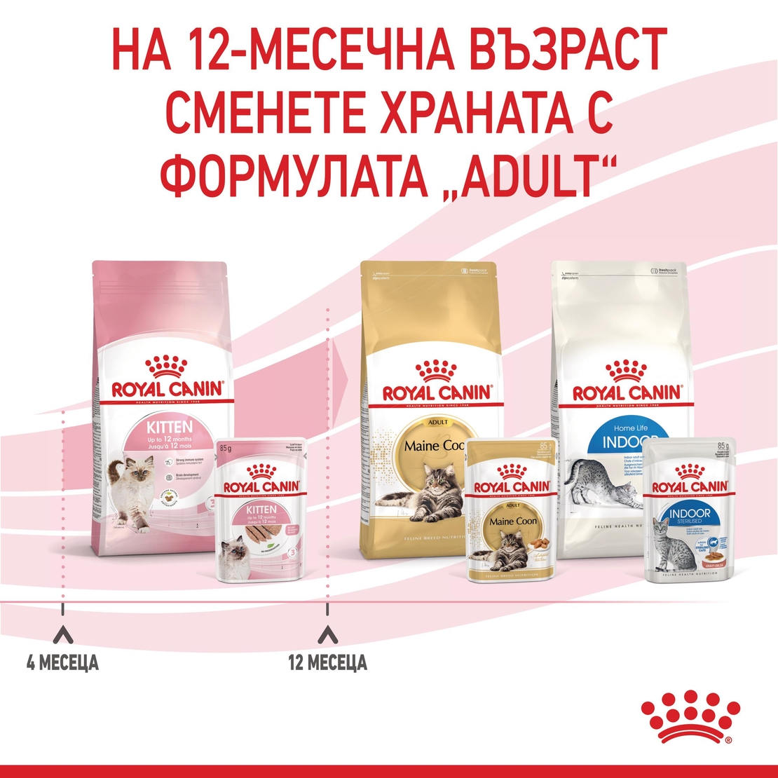 ROYAL CANIN® FHN KITTEN за 2-ра фаза на растеж при подрастващи котенца до 12 месеца (пастет)