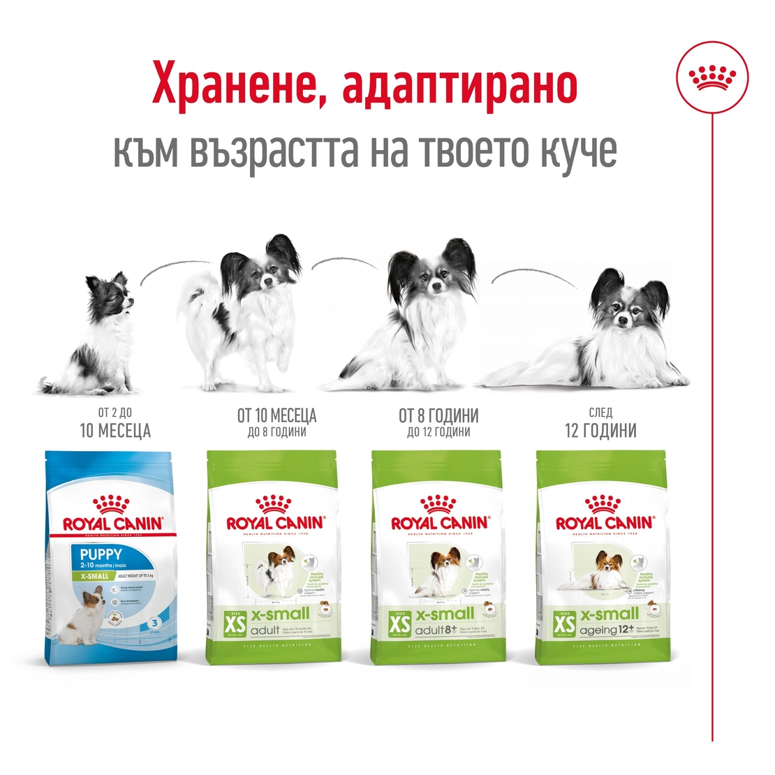 ROYAL CANIN® SHN X-SMALL ADULT – за кучета в зряла възраст от много дребни породи (тегло до 4 кг) - над 10 месеца
