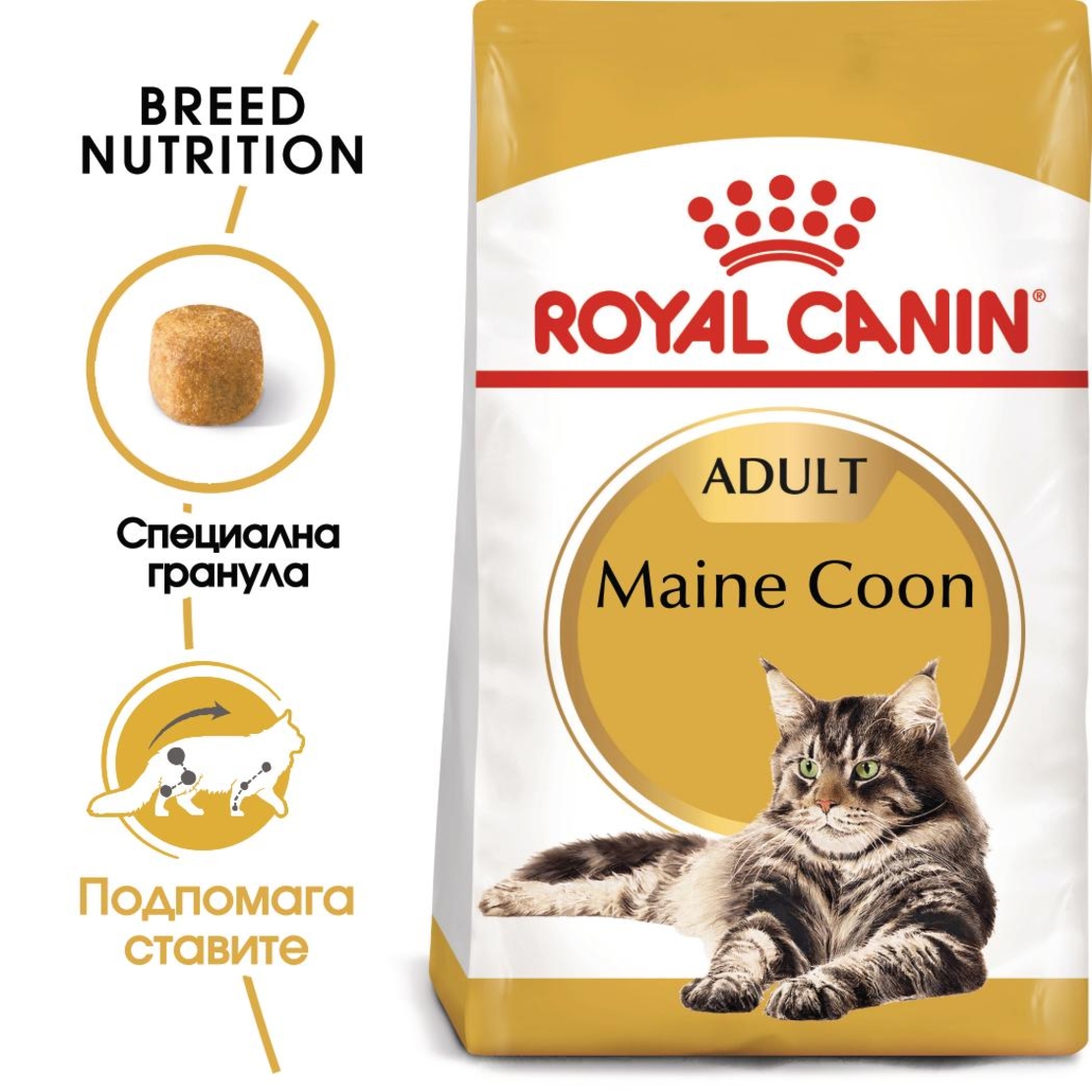 ROYAL CANIN® FBN MAINE COON ADULT за котки в зряла възраст порода мейн куун – над 15 месеца
