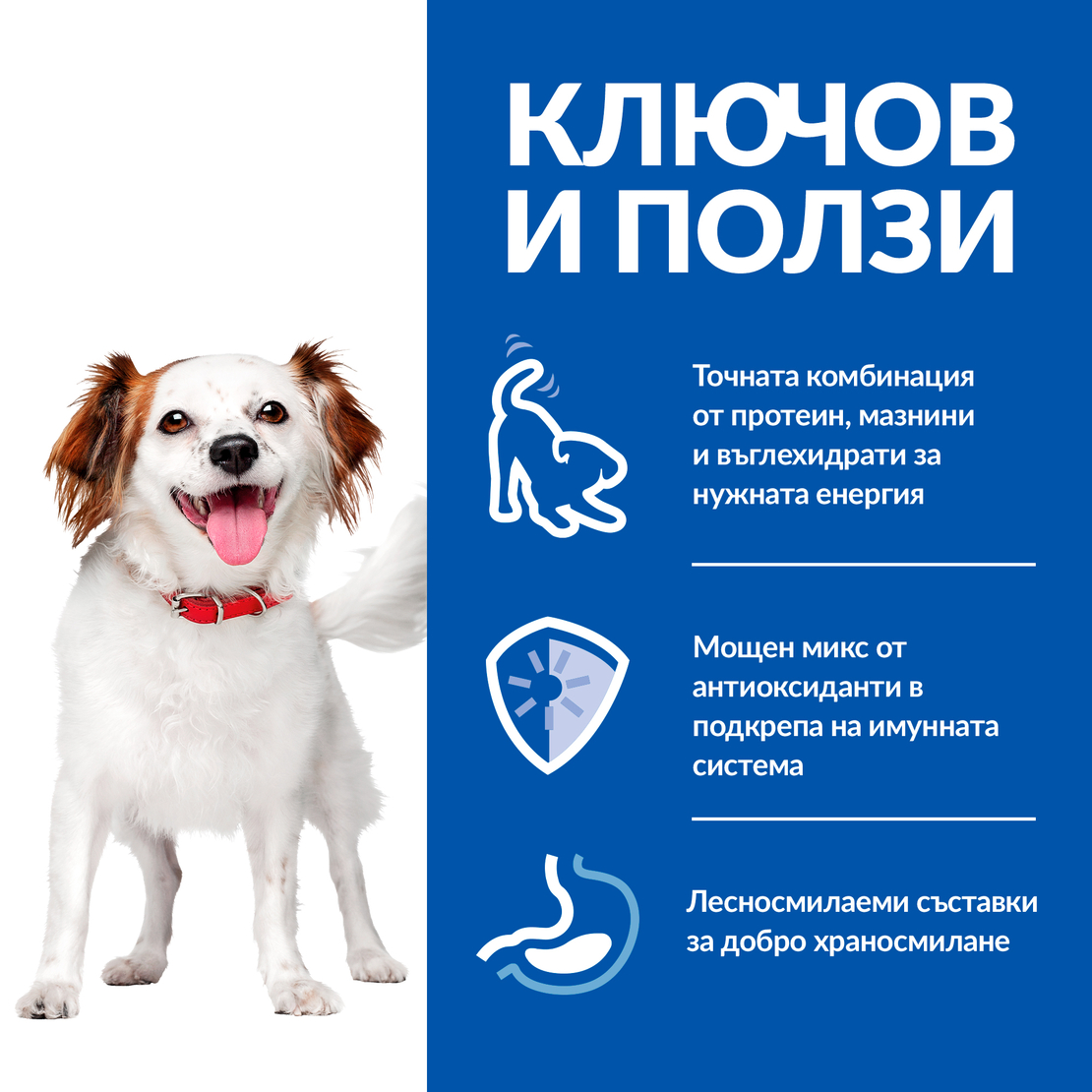 Hill's Science Plan Small & Mini Adult Mousse Beef - Пълноценна храна с мека текстура за израснали кучета от дребни породи от 1 до 6 години, фин мус с говеждо, консерва