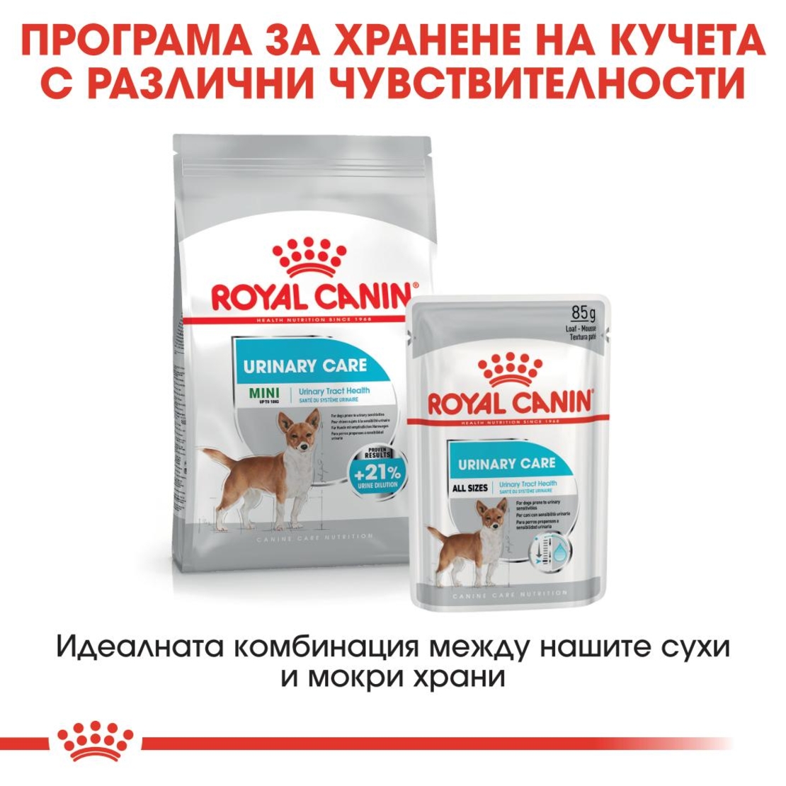 ROYAL CANIN® CCN MINI URINARY CARE за кучета в зряла възраст и напреднала възраст от дребни породи (от 1 до 10 кг) - над 10 месеца - с предразположеност към уринарна чувствителност