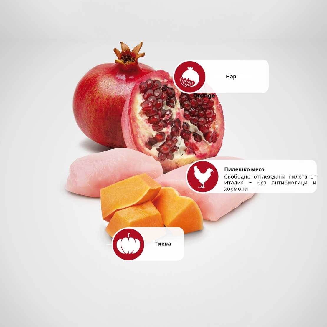 N&D Cat Pumpkin, Chicken & Pomeranatе – пълноценна мокра храна без зърнени култури за котки над 1 година с пилешко, тиква и нар, консерва