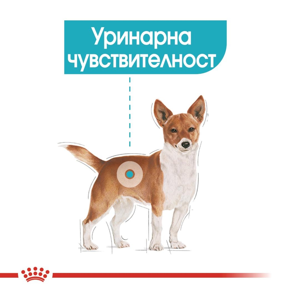 ROYAL CANIN® CCN URINARY CARE за кучета в зряла възраст над 10 месеца - с предразположеност към уринарна чувствителност