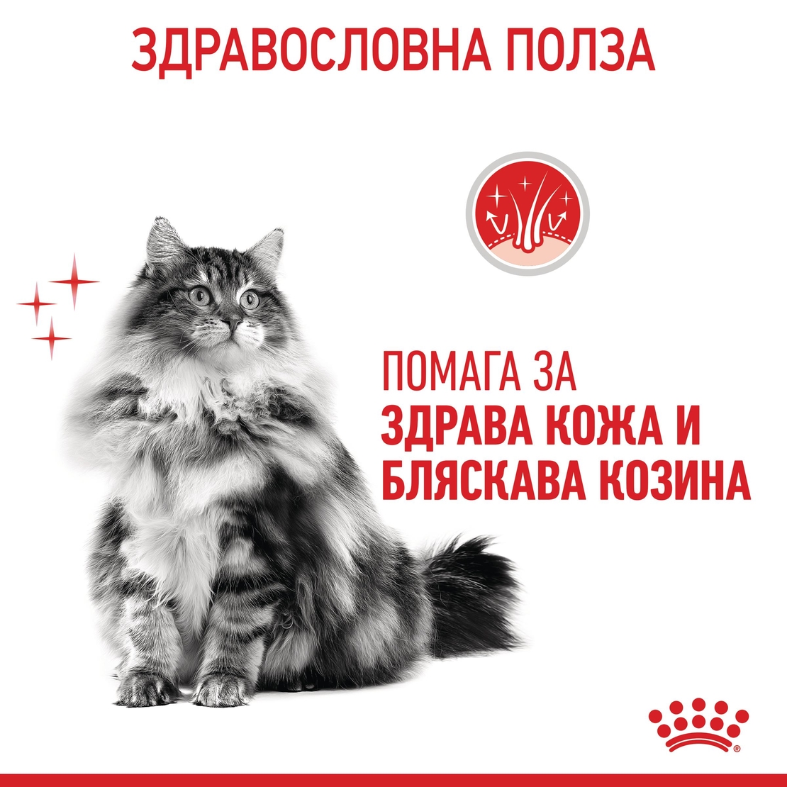 ROYAL CANIN® FCN CARE HAIR&SKIN за котки в зряла възраст