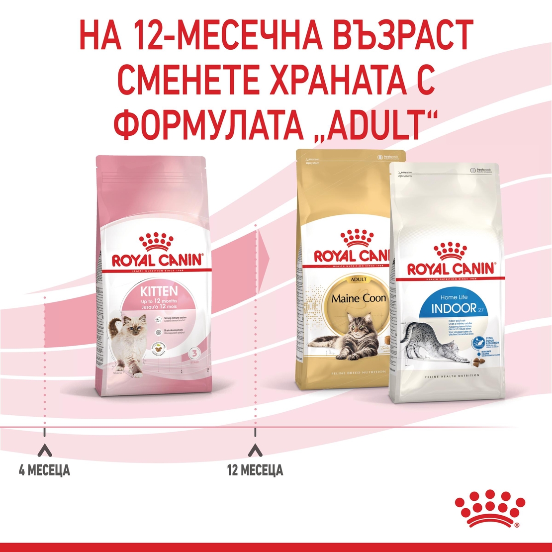 ROYAL CANIN® FHN KITTEN за подрастващи котенца до 12 месеца