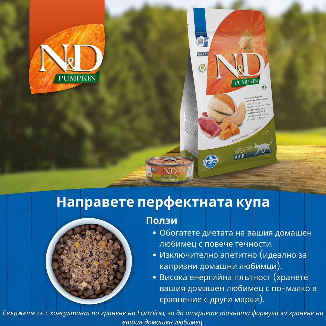 N&D Cat Pumpkin & Duck – пълноценна мокра храна без зърнени култури за котки над 1 година с патешко и тиква, консерва