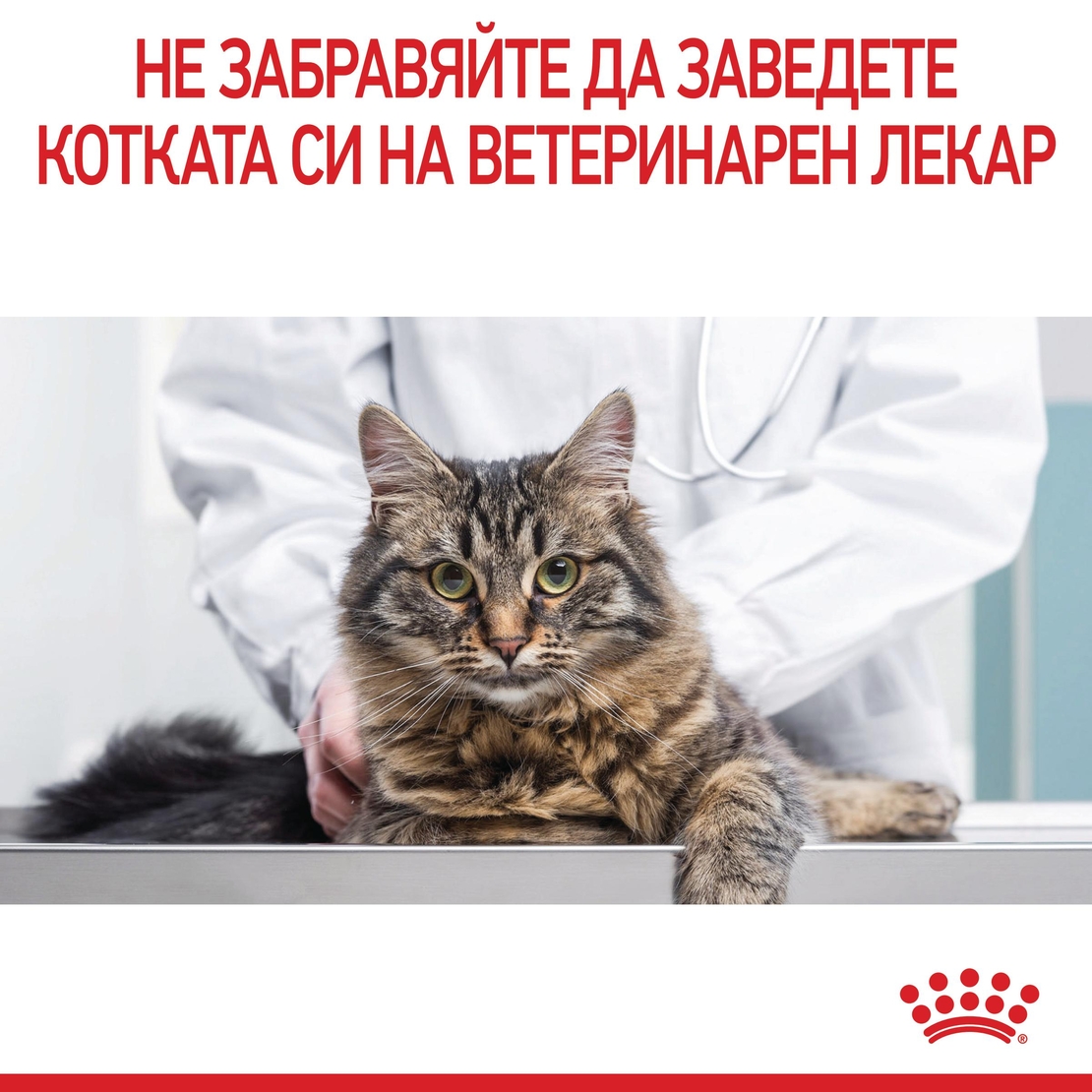 ROYAL CANIN® FCN APPETITE CONTROL CARE за котки в зряла възраст