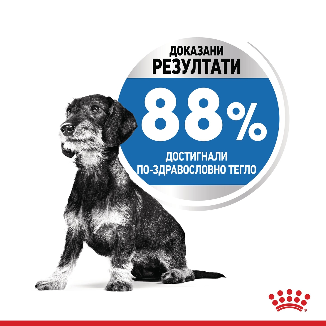 ROYAL CANIN® CCN MINI LIGHT WEIGHT CARE за кучета в зряла и напреднала възраст от дребни породи (от 1 до 10кг) - над 10 месеца - кучета със склонност към натрупване на наднормено тегло