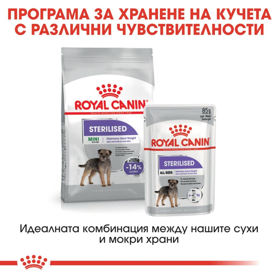 ROYAL CANIN® CCN MINI STERILISED за кастрирани кучета в зряла възраст от дребни породи (от 1 до 10 кг) - над 10 месеца - кучета със склонност към натрупване на наднормено тегло