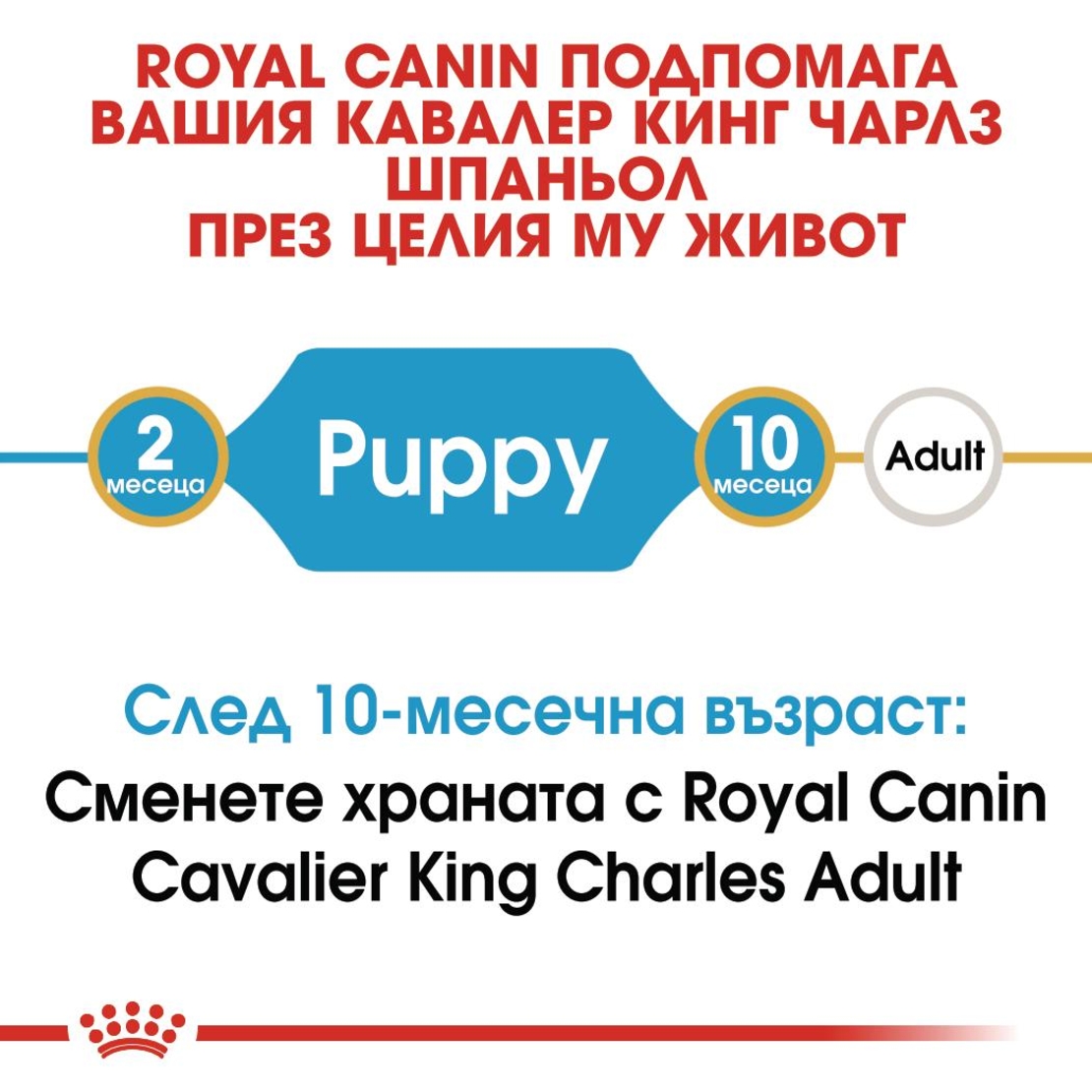 ROYAL CANIN® BHN CAVALIER KING CHARLES SPANIEL PUPPY за подрастващи кучета порода кавалер кинг чарлз шпаньол – до 12 месеца