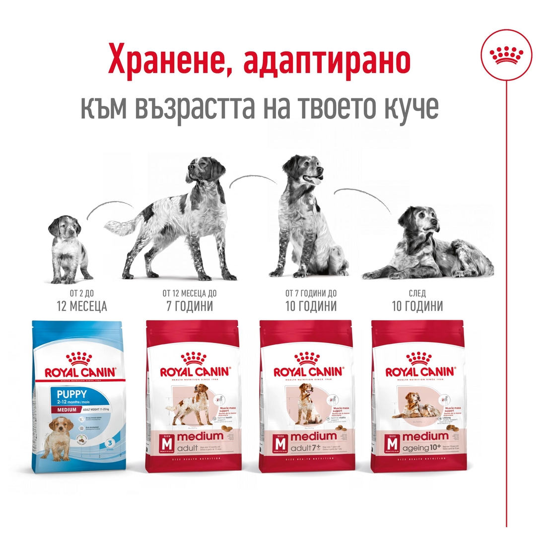 ROYAL CANIN® SHN MEDIUM ADULT - - за кучета в зряла възраст от средни породи (от 11 до 25 кг) - над 12 месеца