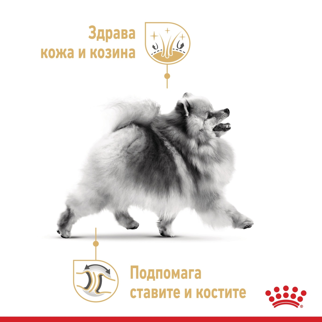 ROYAL CANIN® BHN POMERANIAN за кучета в зряла и напреднала възраст възраст порода померан - над 8 месеца (пастет)