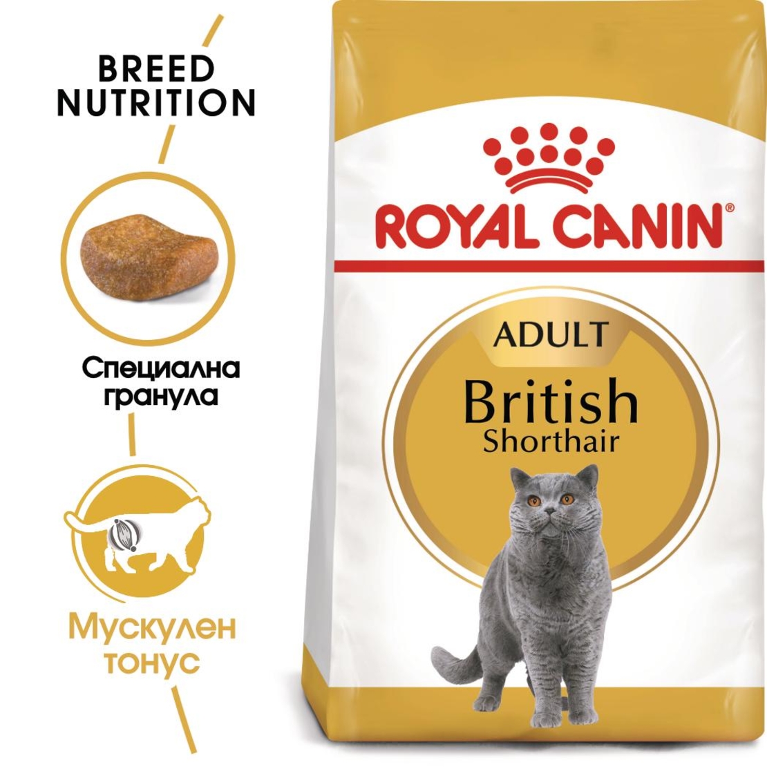 ROYAL CANIN® FBN BRITISH SHORTHAIR ADULT за британски късокосмести котки в зряла възраст - над 12 месеца
