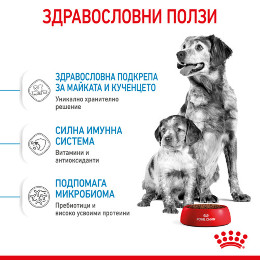 ROYAL CANIN® SHN MEDIUM STARTER за женски кучета от средни породи (от 11 до 25 кг) и нейните кученца: в края на бременността и по време на кърмене - период на отбиване на подрастващи кученца на възраст до 2 месеца