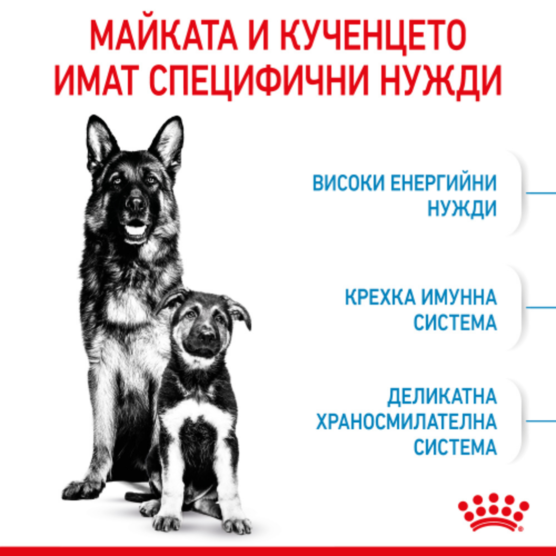 ROYAL CANIN® SHN MAXI STARTER MOTHER & BABYDOG за женски кучета от едри породи (от 26 до 44 кг) и нейните подрастващи : женско куче в края на бременността и по време на кърмене - кученца в период на отбиване на възраст до 2 месеца