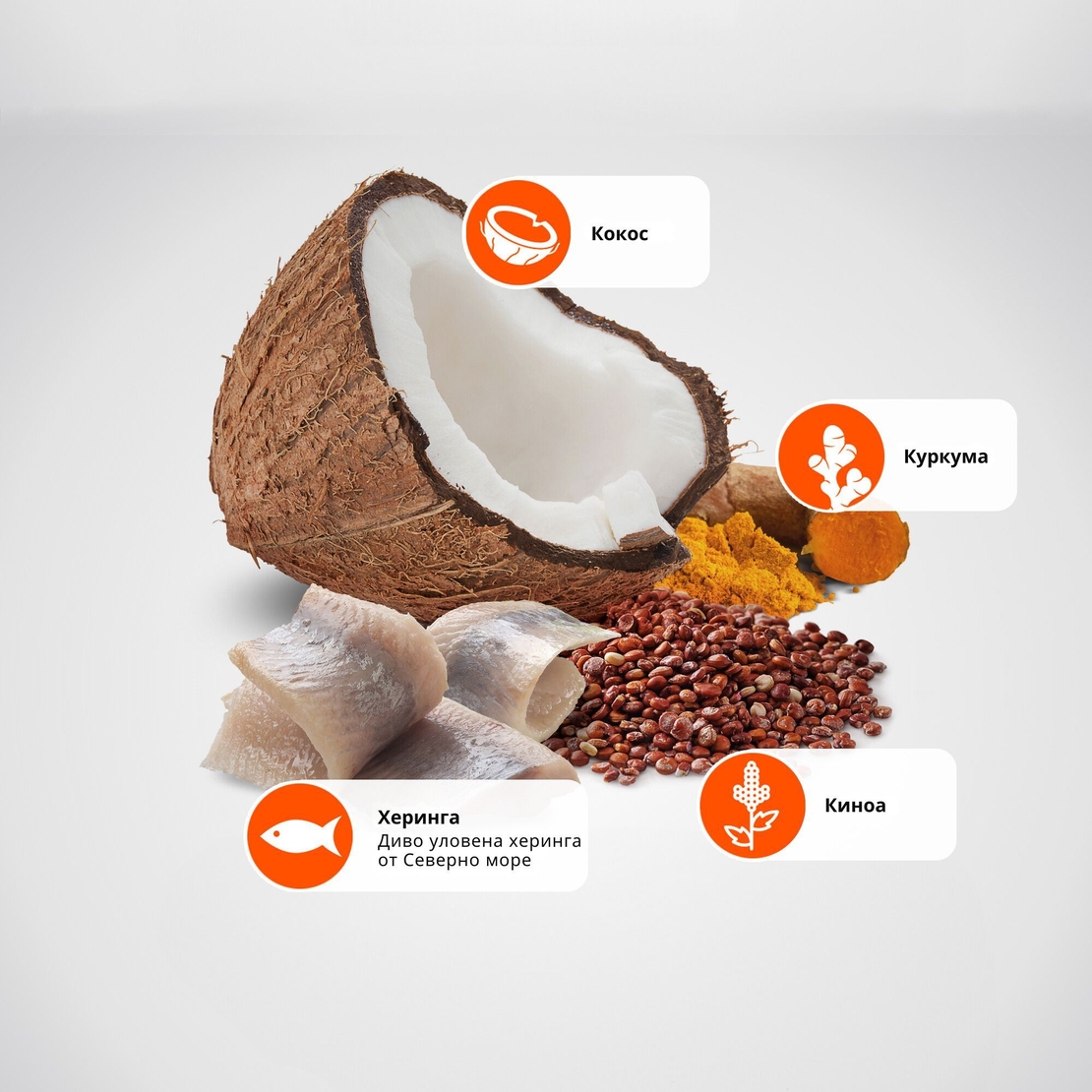 N&D Quinoa Skin & Coat with Herring, Adult MINI – суха храна без зърнени култури за здрава кожа и козина, за кучета над 1 година от дребни породи, с херинга, киноа, кокос, и куркума