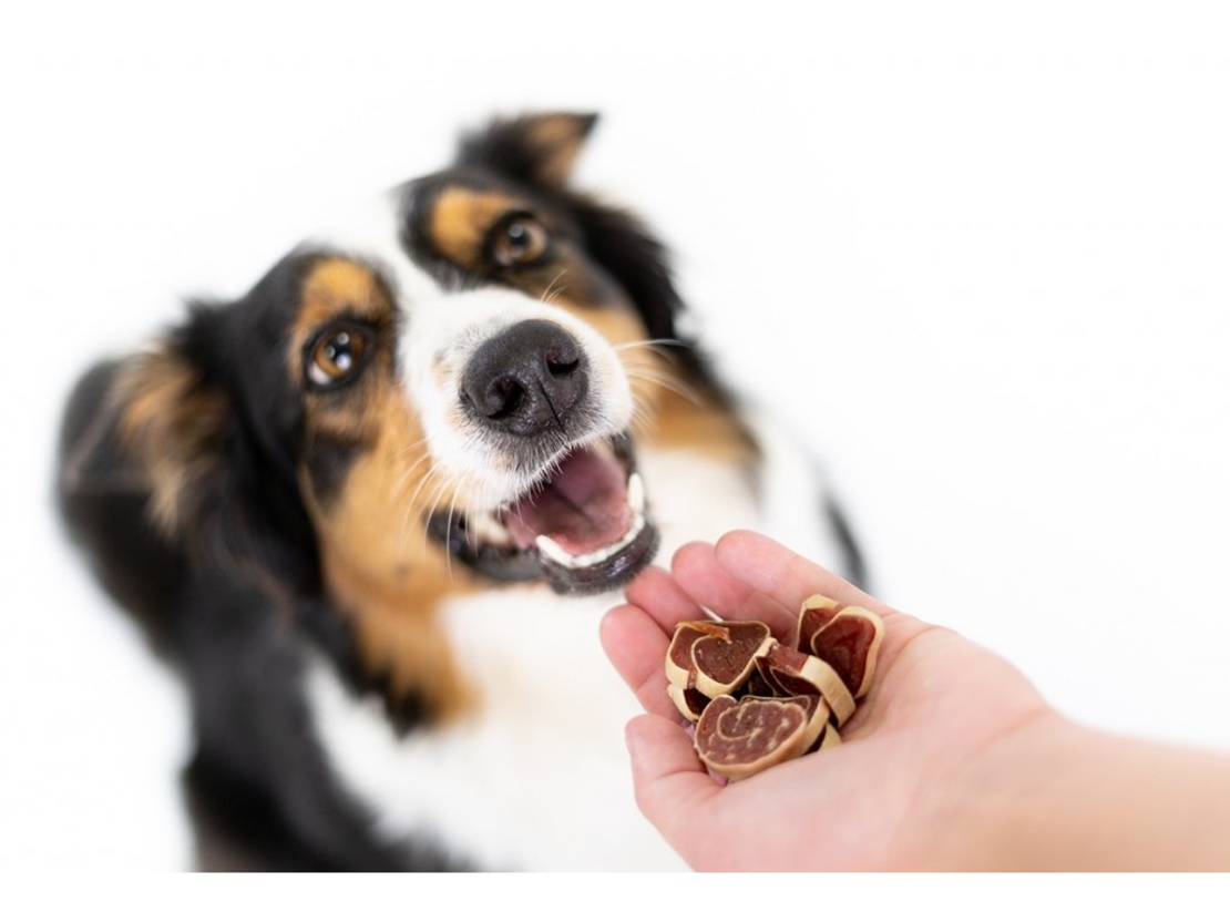 Magnum Суши с патешко - натурални лакомства за кучета