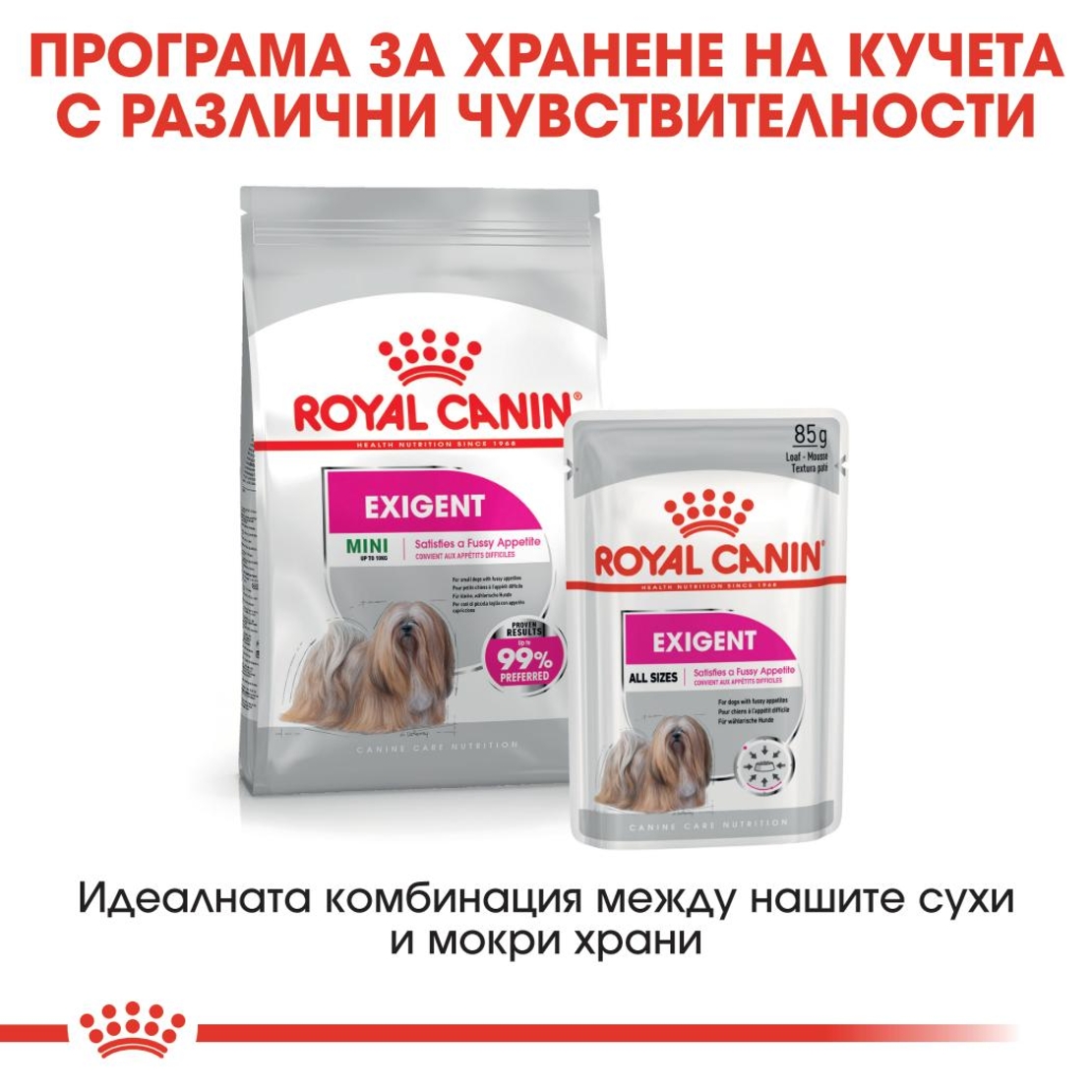 ROYAL CANIN® CCN EXIGENT за кучета в зряла възраст над 10 месеца – кучета с капризен апетит