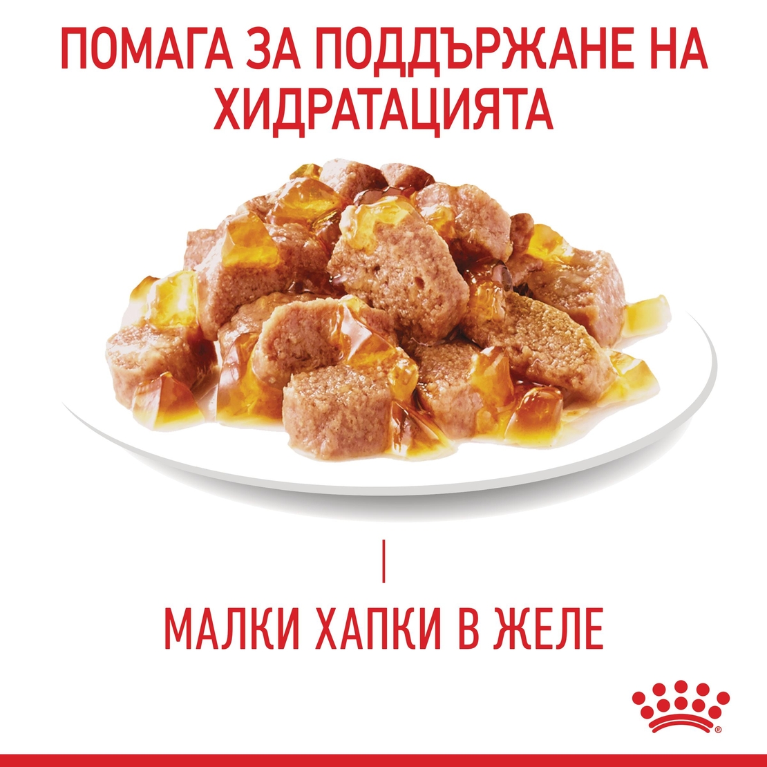 ROYAL CANIN® FCN CARE HAIRBALL за котки в зряла възраст (малки хапки в желе)