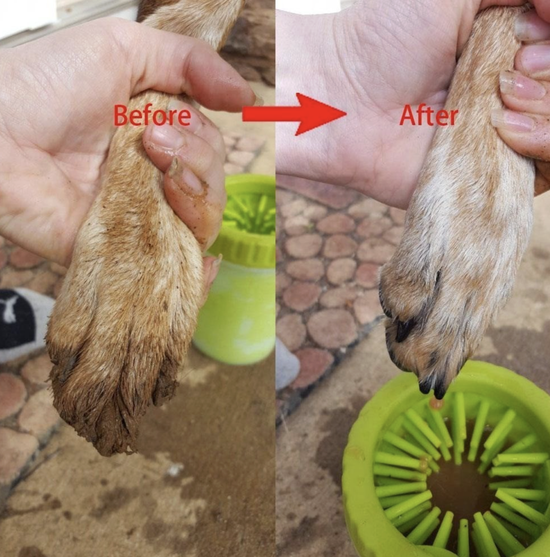 Съд за измиване на лапи на домашен любимец - синьо