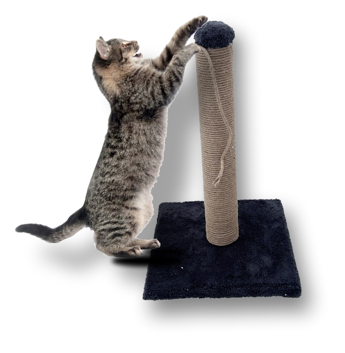 Драскало STANDART, 30/30 x 30 см, Cat World