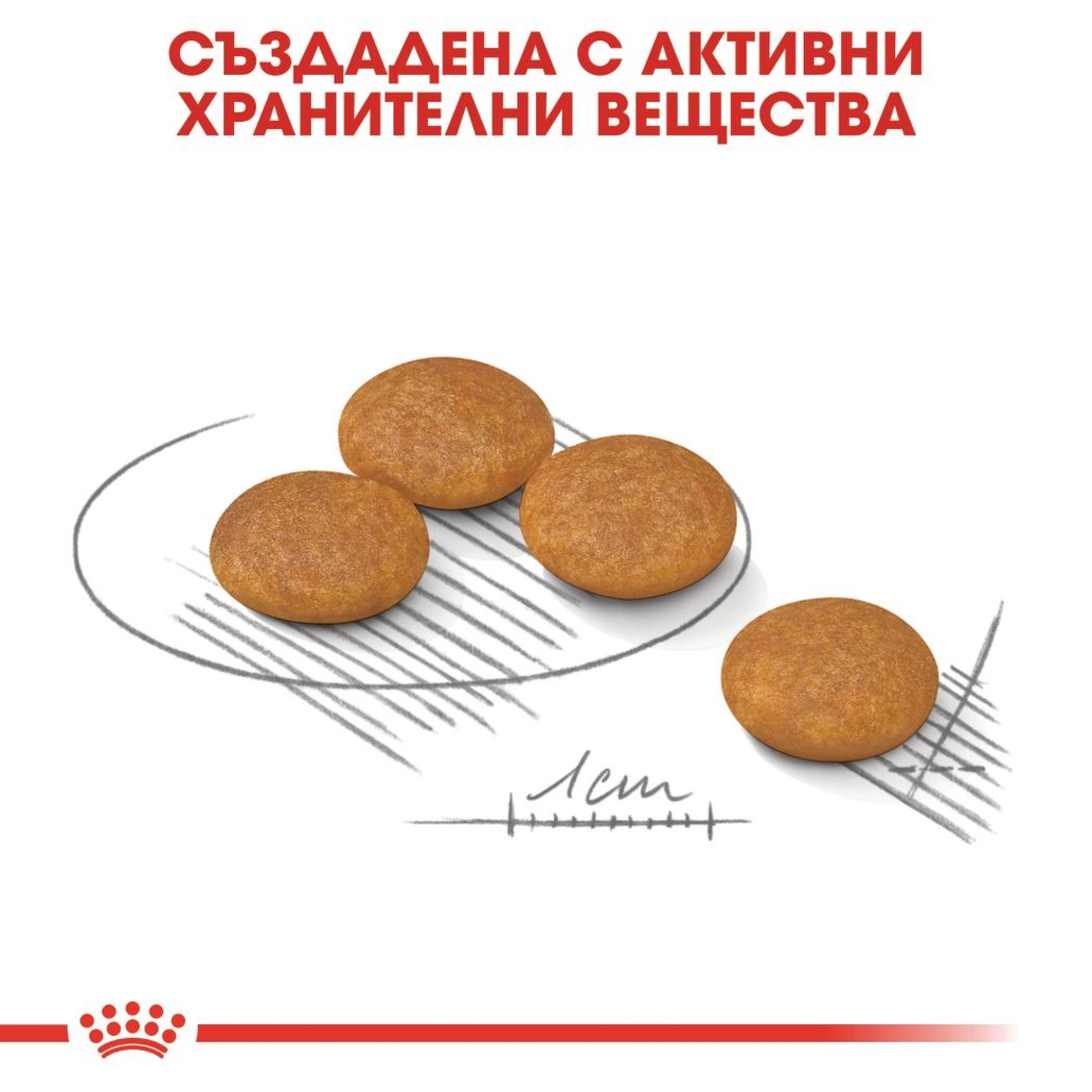 ROYAL CANIN® CCN MINI DERMACOMFORT за кучета в зряла и напреднала възраст от дребни породи (от 1 до 10кг) - над 10 месеца - кучета предразположени към кожни раздразнения и сърбеж