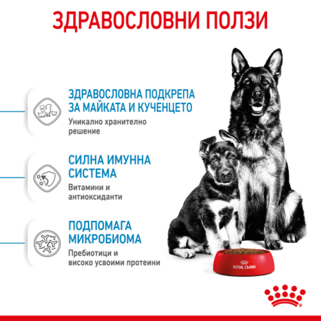 ROYAL CANIN® SHN MAXI STARTER MOTHER & BABYDOG за женски кучета от едри породи (от 26 до 44 кг) и нейните подрастващи : женско куче в края на бременността и по време на кърмене - кученца в период на отбиване на възраст до 2 месеца