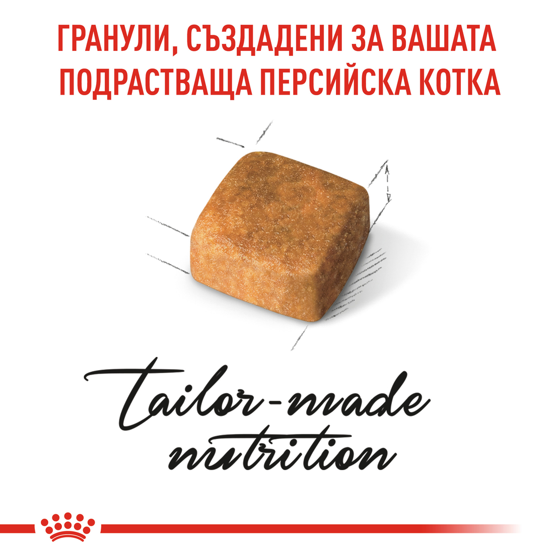 ROYAL CANIN® FBN PERSIAN KITTEN за подрастващи персийски котки (до 12 месеца)