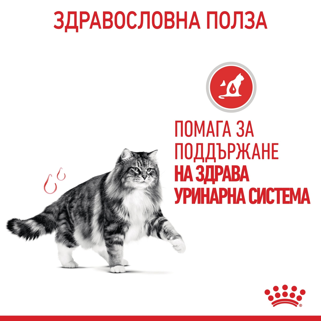 ROYAL CANIN® FCN CARE URINARY за котки в зряла възраст (хапки в сос)