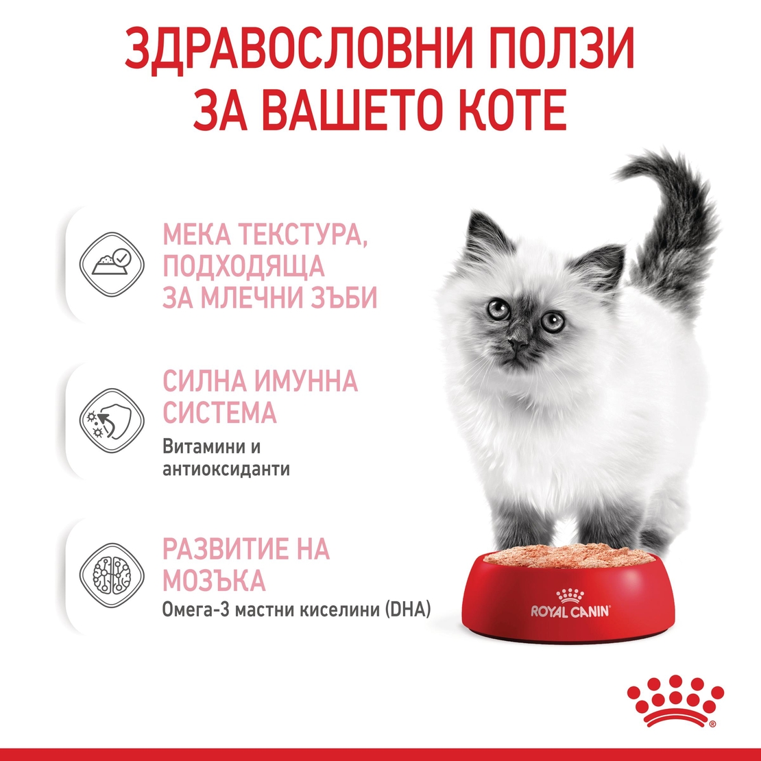 ROYAL CANIN® FHN KITTEN за 2-ра фаза на растеж при подрастващи котенца до 12 месеца (пастет)