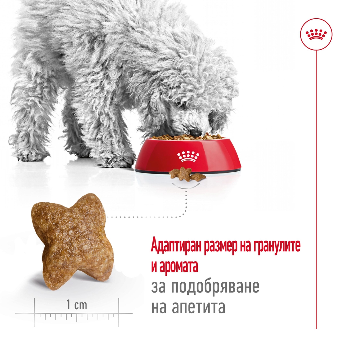 ROYAL CANIN® SHN MINI ADULT – за кучета в зряла възраст от дребни породи (до 10 кг) - над 10 месеца