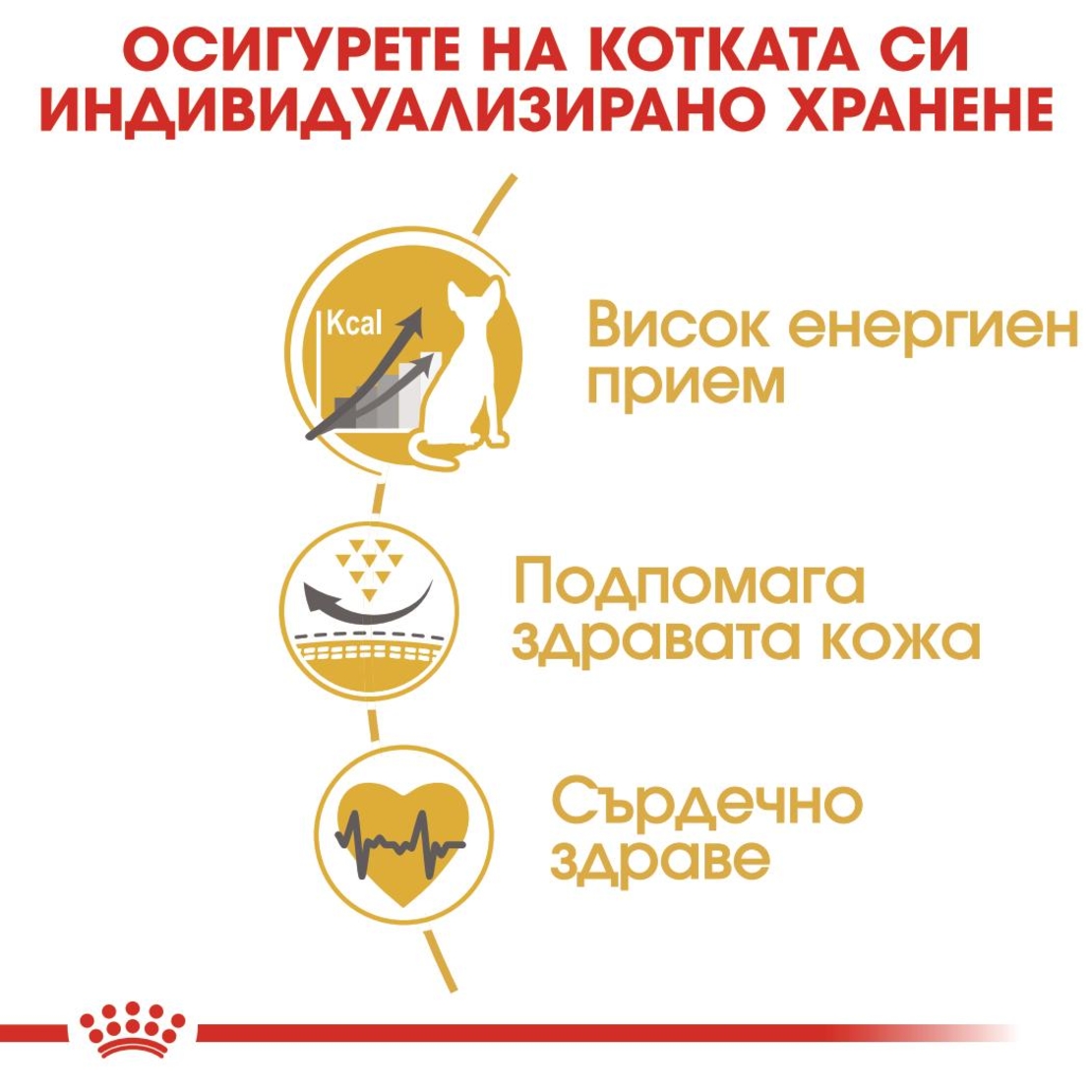 ROYAL CANIN® FBN SPHYNX ADULT за котки порода сфинкс в зряла възраст - над 12 месеца