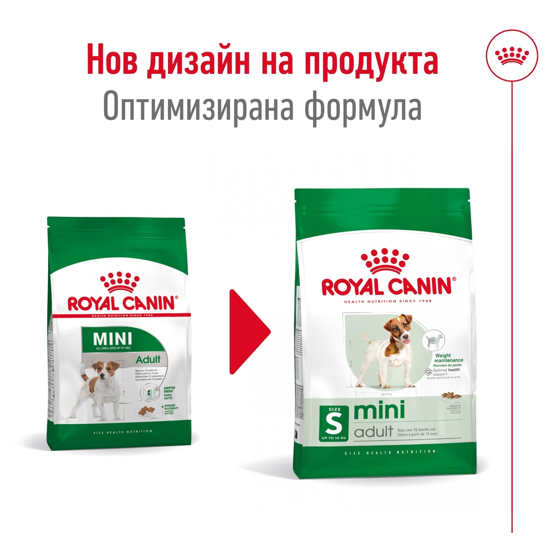 ROYAL CANIN® SHN MINI ADULT – за кучета в зряла възраст от дребни породи (до 10 кг) - над 10 месеца