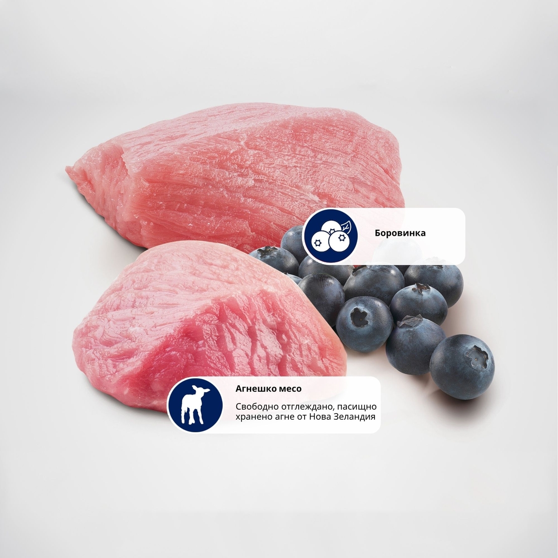 N&D Prime Cat Adult Lamb & Blueberry – суха храна без зърнени култури за котки над 1 година, с агнешко и боровинки