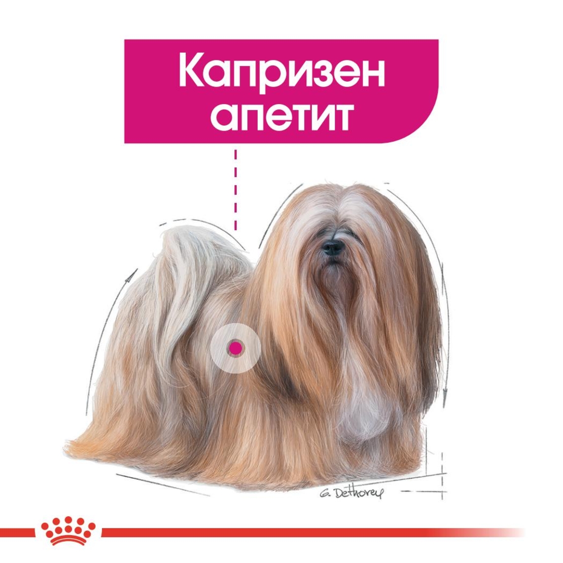 ROYAL CANIN® CCN MINI EXIGENT за кучета в зряла и напреднала възраст от дребни породи (от 1 до 10 кг) - над 10 месеца - кучета с капризен апетит