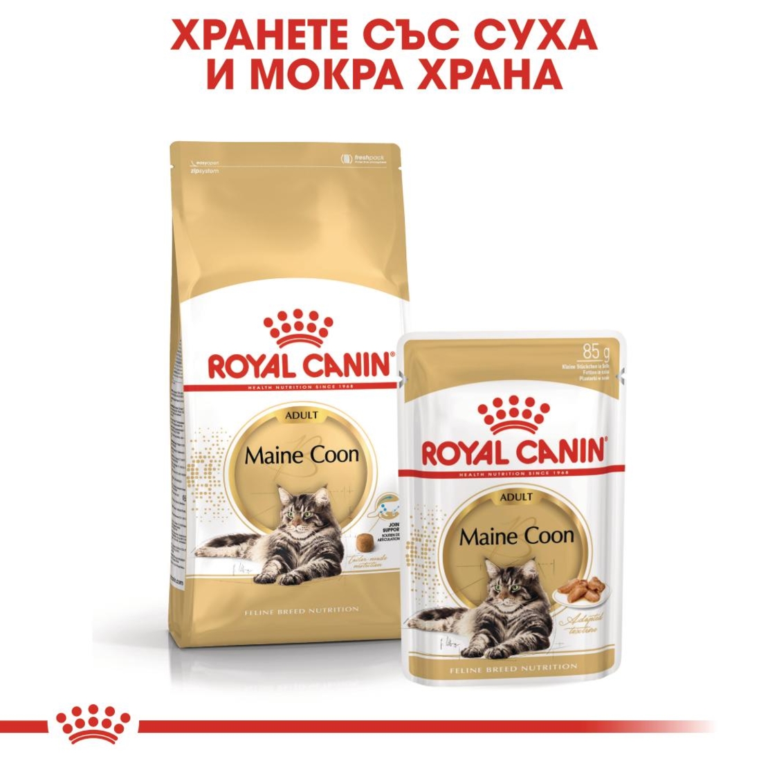 ROYAL CANIN® FBN MAINE COON ADULT за котки в зряла възраст порода мейн куун – над 15 месеца