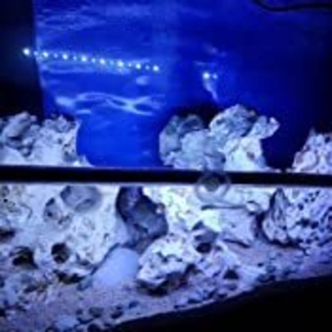 RS-300LE LED осветление за аквариум (четири размера) - 30 см, 40 см, 50 см, 60 см