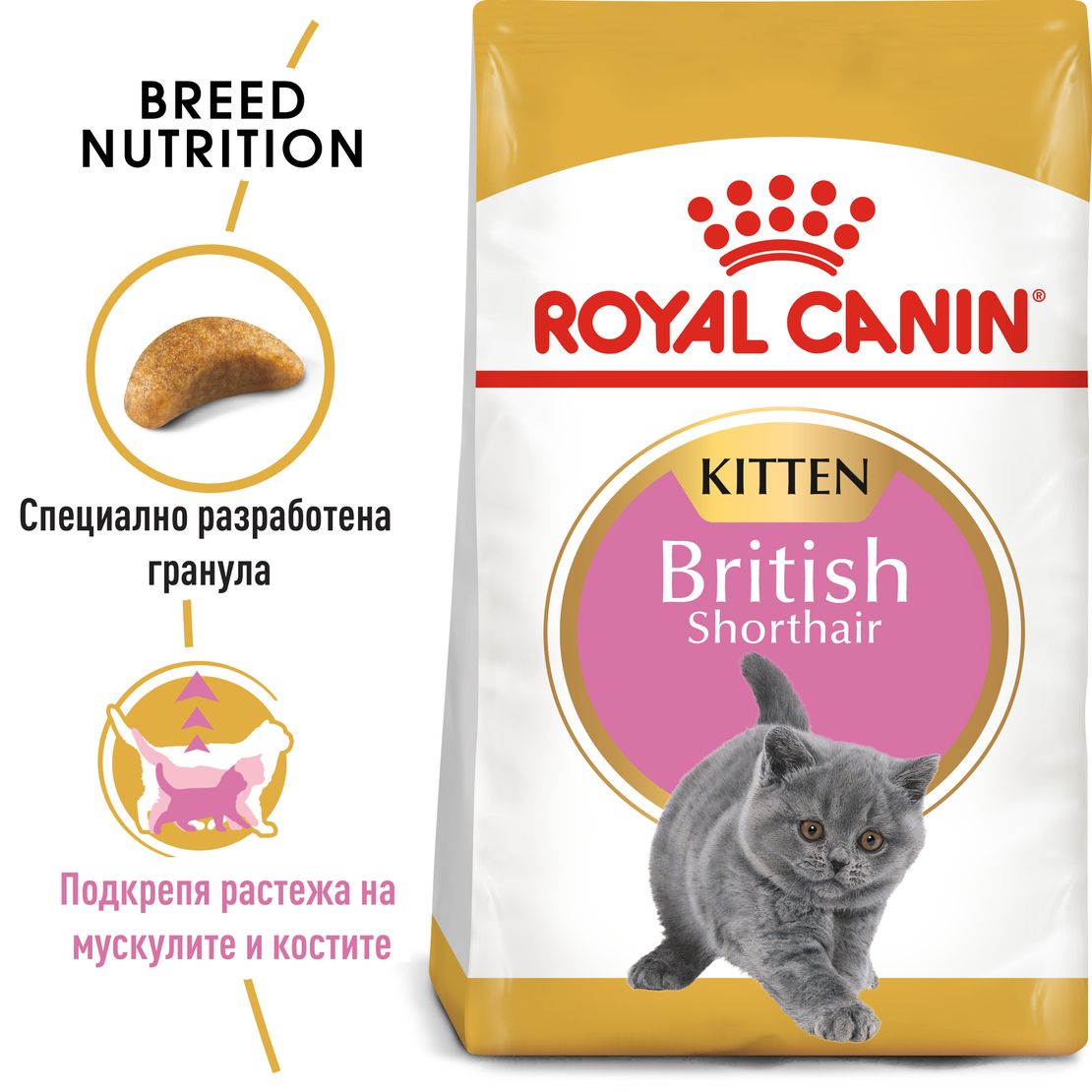 ROYAL CANIN® FBN BRITISH SHORTHAIR KITTEN за подрастващи британски късокосмести котки (до 12 месеца)